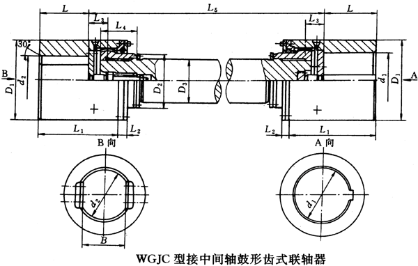 WGJͽgSXʽ(lin)Sμbߴ磨JB/T8821-98